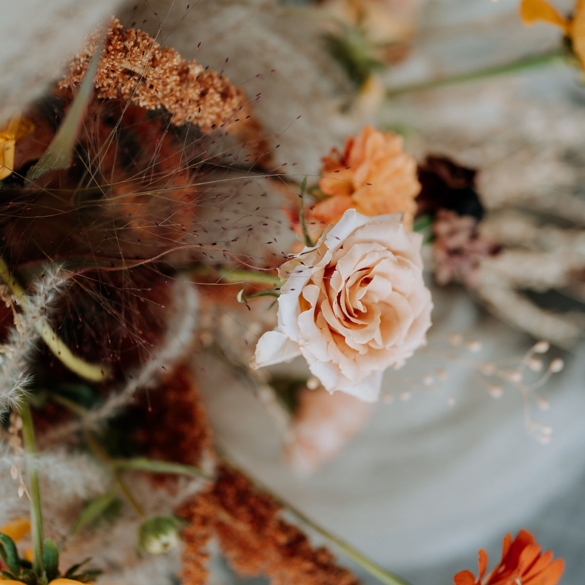 Elegant Boho — zdjęcie 6