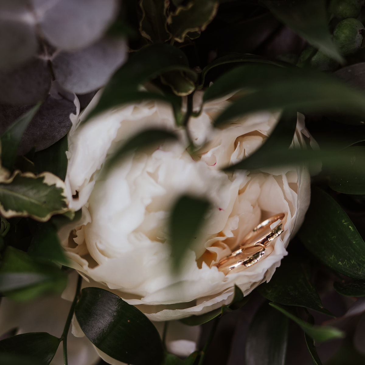 Dominika & Mateusz — zdjęcie 2